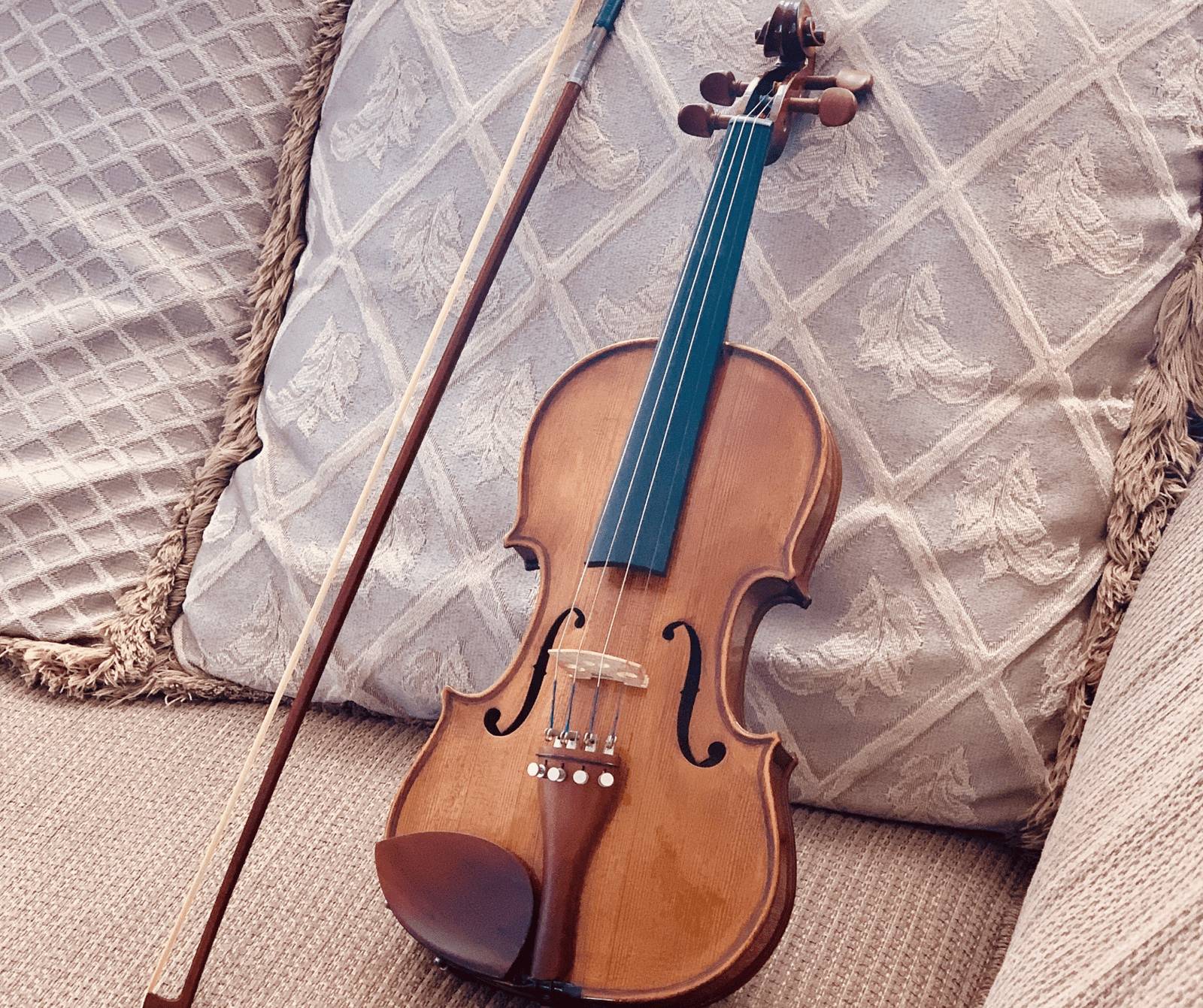 Violin classes, violin lesson, online violin class, carnatic violin, indian violin, western violin, violin music